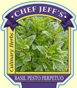 chefjeffperpetualpesto Chef Jeff