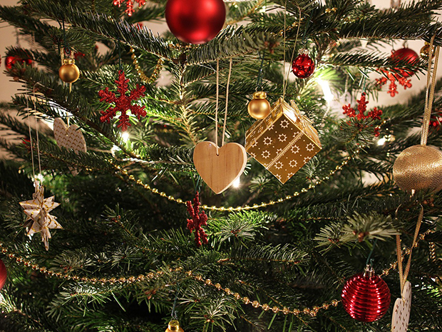 Christmas Tree Rules! 5 Things to Know