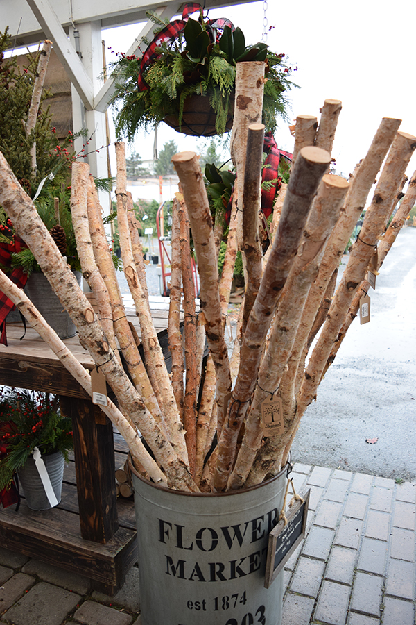 birch-sticks-sm Outdoor Holiday Greens & Decor