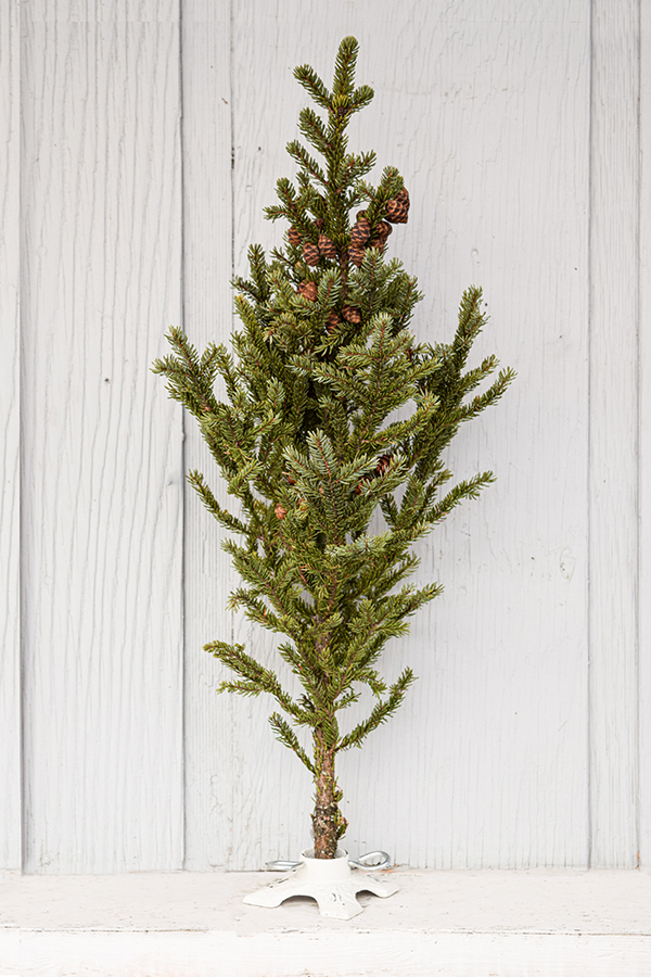 holiday-spruce-tips-sm Outdoor Holiday Greens & Decor