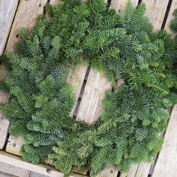 plain-wreath-sm Outdoor Holiday Greens & Decor