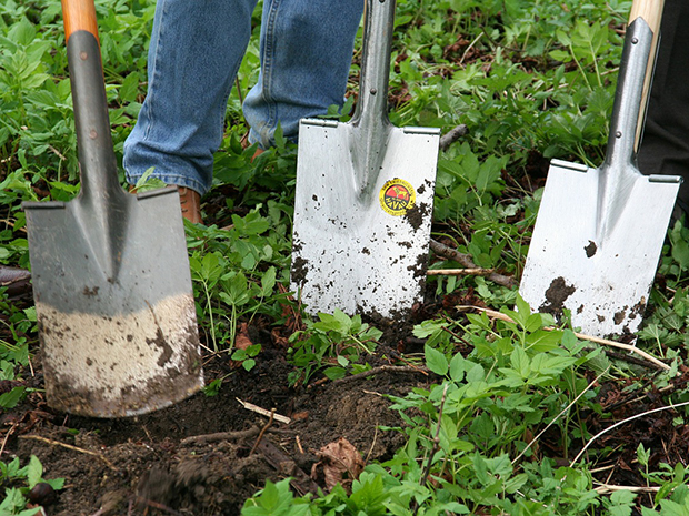 Planning Your Garden