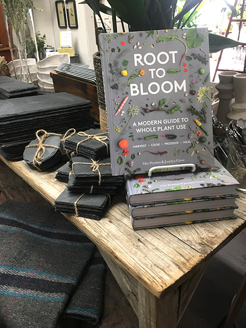 root-to-bloom-book-sm What's Happening Inside?